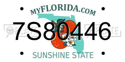 7S80446 Florida License Plate