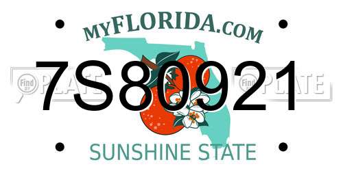 7S80921 Florida License Plate