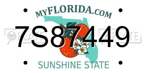 7S87449 Florida License Plate