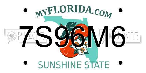 7S96M6 Florida License Plate