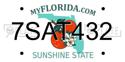 7SAT432 Florida License Plate