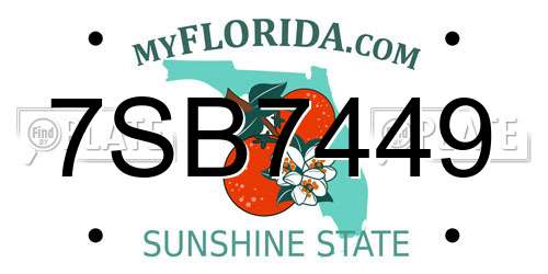7SB7449 Florida License Plate