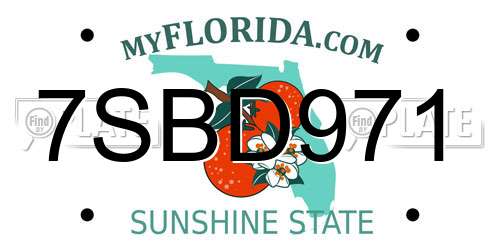 7SBD971 Florida License Plate