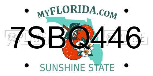 7SBQ446 Florida License Plate