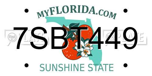7SBT449 Florida License Plate