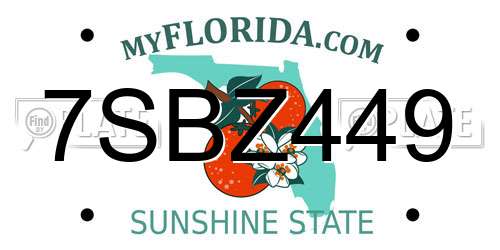 7SBZ449 Florida License Plate