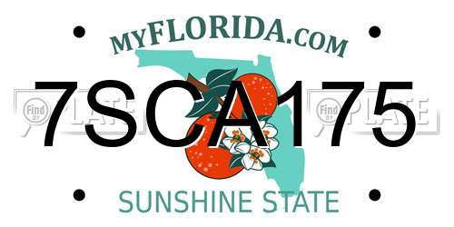 7SCA175 Florida License Plate