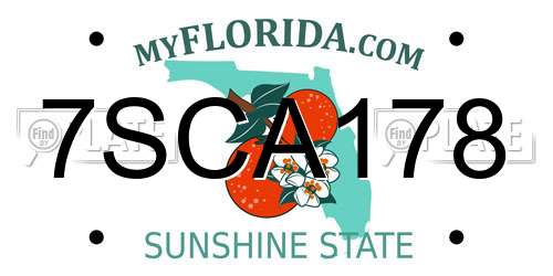 7SCA178 Florida License Plate