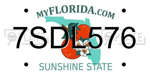 7SDL576 Florida License Plate