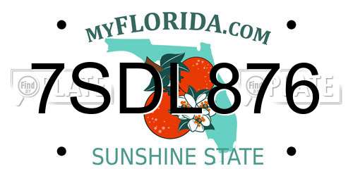 7SDL876 Florida License Plate