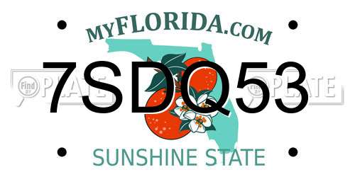 7SDQ53 Florida License Plate