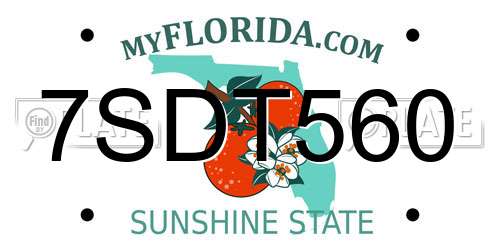 7SDT560 Florida License Plate