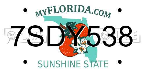 7SDY538 Florida License Plate