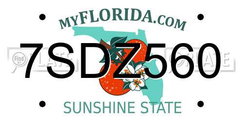 7SDZ560 Florida License Plate