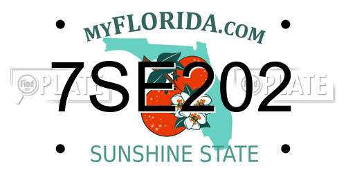7SE202 Florida License Plate