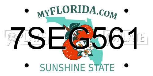 7SEG561 Florida License Plate