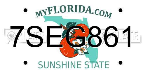 7SEG861 Florida License Plate