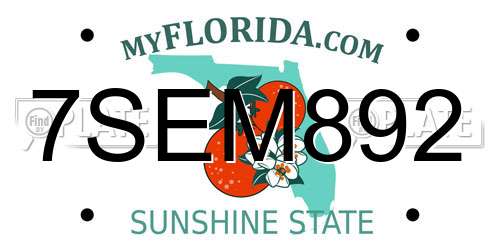7SEM892 Florida License Plate