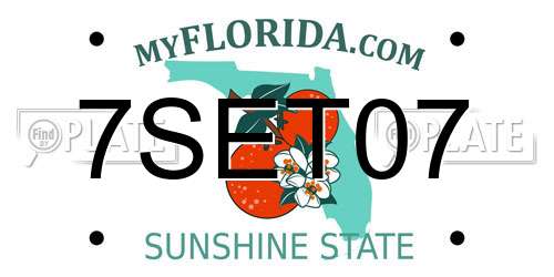7SET07 Florida License Plate