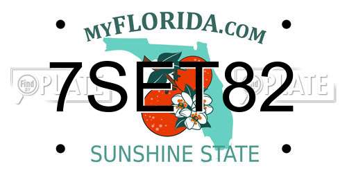7SET82 Florida License Plate