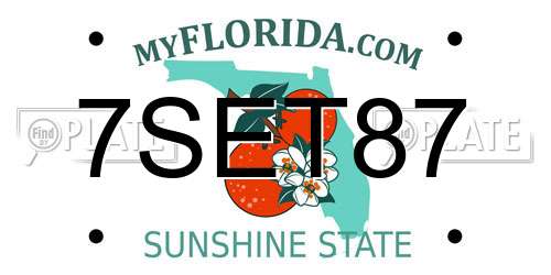 7SET87 Florida License Plate
