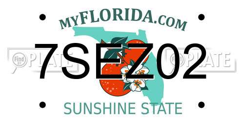 7SEZ02 Florida License Plate