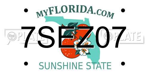 7SEZ07 Florida License Plate