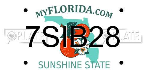 7SIB28 Florida License Plate