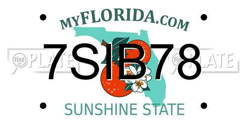 7SIB78 Florida License Plate
