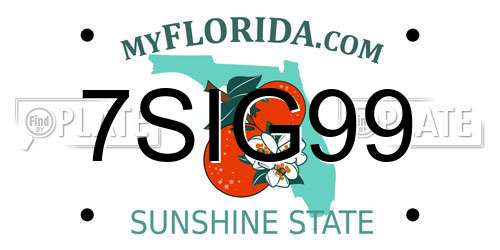 7SIG99 Florida License Plate