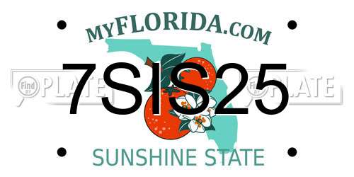 7SIS25 Florida License Plate