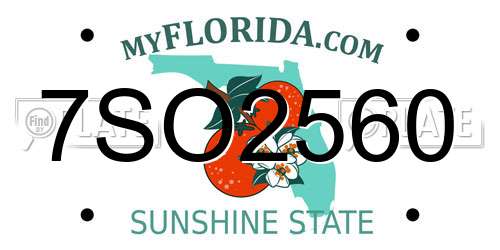7SO2560 Florida License Plate