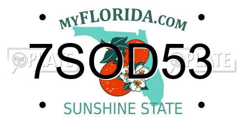 7SOD53 Florida License Plate
