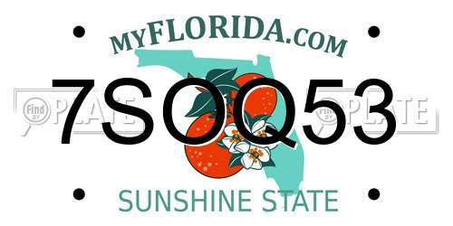 7SOQ53 Florida License Plate