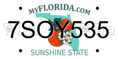 7SOY535 Florida License Plate