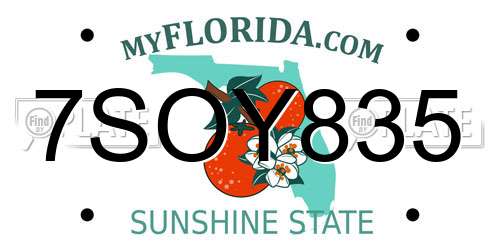 7SOY835 Florida License Plate