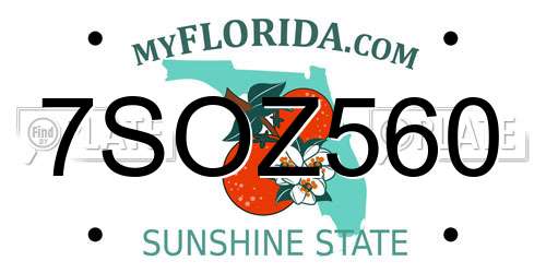7SOZ560 Florida License Plate