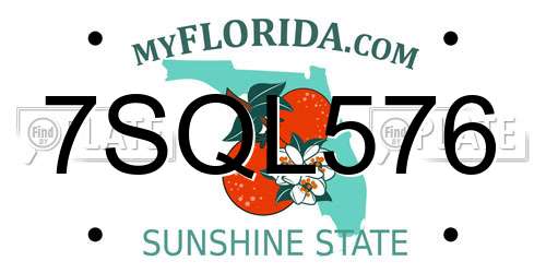 7SQL576 Florida License Plate