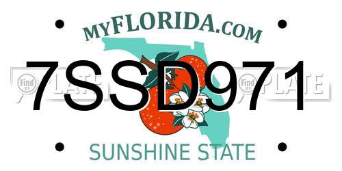 7SSD971 Florida License Plate