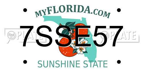 7SSE57 Florida License Plate
