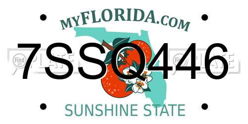7SSQ446 Florida License Plate