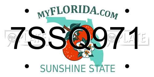 7SSQ971 Florida License Plate