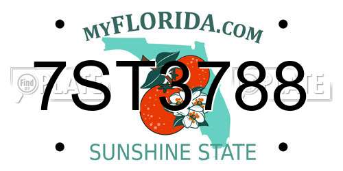 7ST3788 Florida License Plate