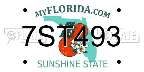 7ST493 Florida License Plate