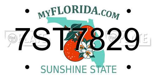 7ST7829 Florida License Plate