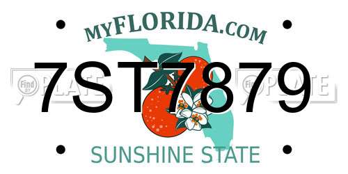 7ST7879 Florida License Plate
