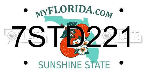 7STD221 Florida License Plate