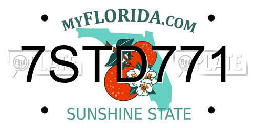 7STD771 Florida License Plate