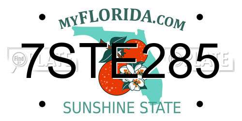 7STE285 Florida License Plate
