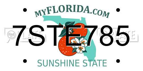 7STE785 Florida License Plate